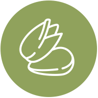 icona_pistacchio